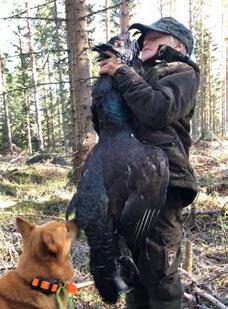 STÅNDSKALL NR 1 2019 GÄVLEBORG Årsmöte SSF Gävleborg Den 3 feb var vi bjudna in till årsmöte i vanlig ordning i BORABs lokaler i Bollnäs, Till mötet hade 15 tappra medlemmar anslutit men stämningen