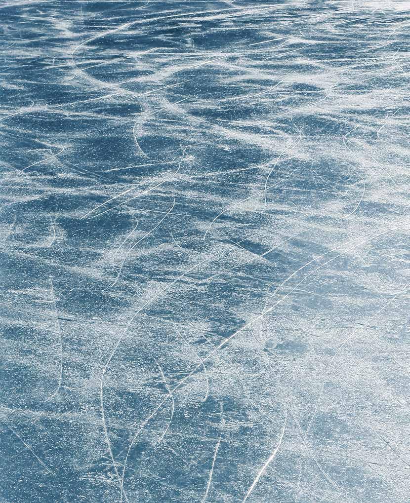 VINTERUTFLYKT Bojan, Livia och Sam ska på utflykt och spela ishockey på den frusna sjön. Vad tycker du att de ska ta med sig? Ringa in eller måla. Ska du på vinterutflykt?