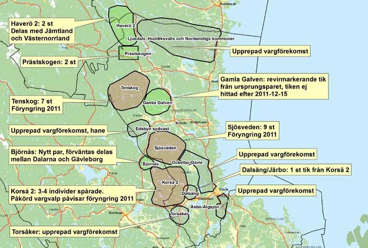 Bilaga 2: Vargförekomst i Gävleborgs län 2011/2012 Här redovisas resultatet från varginventeringen. Gävleborg berördes av sex vargrevir vintern 2011/2012. Av dessa delas tre med andra län.