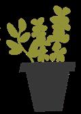 Återkommande program för vuxna Släktforskarforum Kom igång med din släktforskning eller få hjälp att komma vidare. Drop in. Fri entré. Staffanstorps bibliotek kl. 13.00-15.