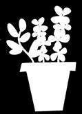 Biblioteken i Staffanstorps kommun och Staffanstorps släktforskarförening Filmklubben Plats: Medborgarhuset, Blekingevägen 1, Staffanstorp (ingång Vesum) Fråga på Staffanstorps bibliotek vilken film