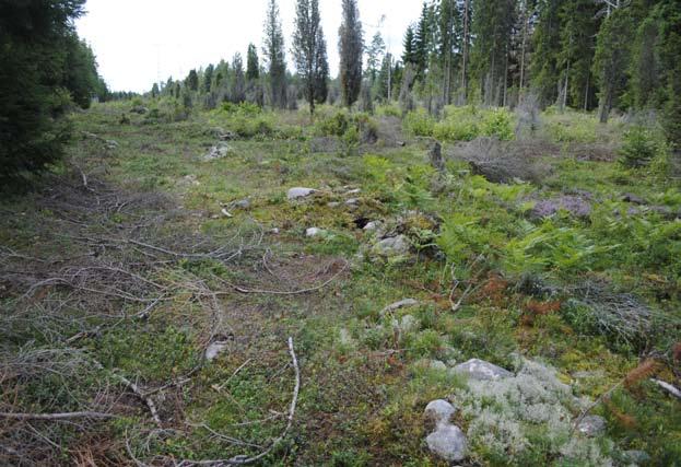 Sedan tidigare finns skadade rösen i ledningsgatans