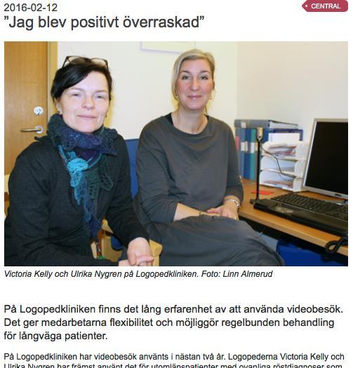 Videobesök i