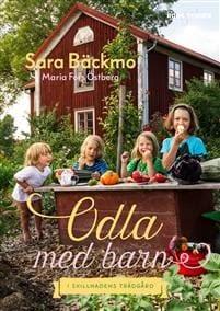 Skärmhjärnan