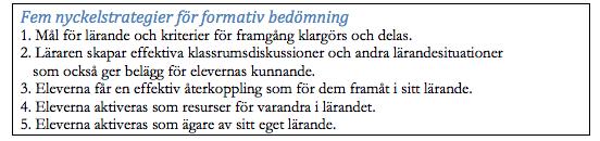 tänker kan denna information sedan användas till att på bästa sätt möta det lärandebehov som eleverna kan ha (Vingsle, 2014).