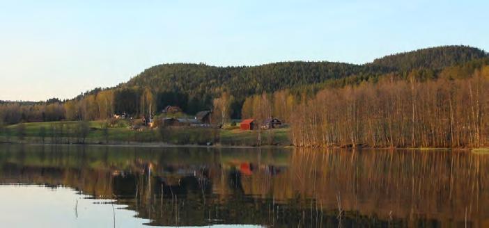 EK OCH LÖVSKOG I VÄRMLAND Värmland är ett skogslän. Av den totala markarealen på 1,75 miljoner hektar är 1,46 miljoner skogsmark och 1,33 miljoner hektar produktiv skogsmark.