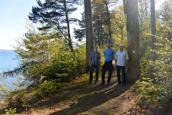 Fastighetsverket sköter om ekskogen på Visingsö. På bilden syns Fredrik Ellegren och Per Linder från Statens Fastighetsverk samt entreprenören Joacim Karlsson.