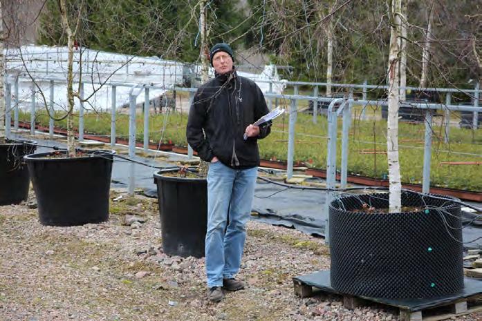 ädellövträdslag tar momenten lång tid. Icke desto mindre har Lars-Göran gett sig i kast med även de mest långsiktiga och måttligt använda trädslagen.