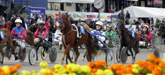 VI STÖDJER FRAMTIDEN Antons nummerbrickor Solvalla Damklubb Solvalla Veteraner Finska Ponnytravförbundet CG Hästsport Solvalla Amatörklubb Svante Båth Stall Sjöström