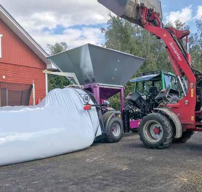 välja högavkastande sorter Du kan tröska tre veckor tidigare vid en