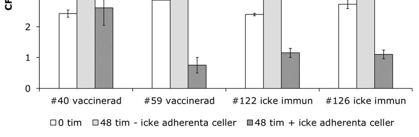 Figur 1. Bakterietillväxt av Francisella tularensis live vaccine strain (LVS) i adherenta celler från perifera mononukleära blodceller.