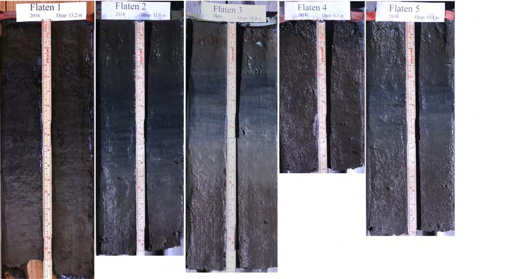 14 4.3 Sedimentkärnor Sedimentkärnor togs på samtliga 5 sedimentstationer i Flaten för att dokumentera lagerföljden. Alla kärnorna utom F 4 uppvisar likartade lagerföljder (Fig. 7).