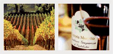 Italien Azienda Vitivinicola Fattoria Moretto Mer