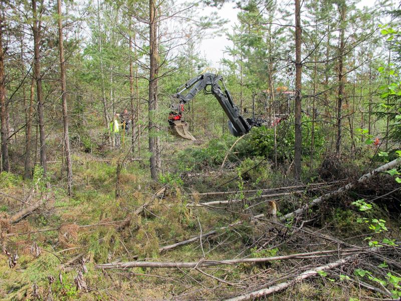 Fornlämningsmiljö och tidigare undersökningar Det aktuella fångstgropssystemet fortsätter som nämnts mot Indalsälven i sydväst genom bland andra lämningarna Stugun 52:1, Stugun 170:1 och Stugun 171:1.