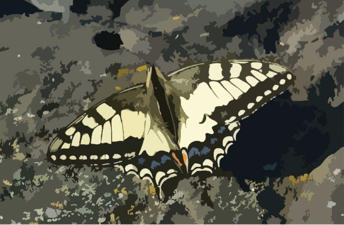 Figur 3: en vektoriserad version (t.v.) av ett digitalfoto (t.h.). Mycket av detaljerna och färgnyanserna går förlorade i den vektoriserade versionen. 1.