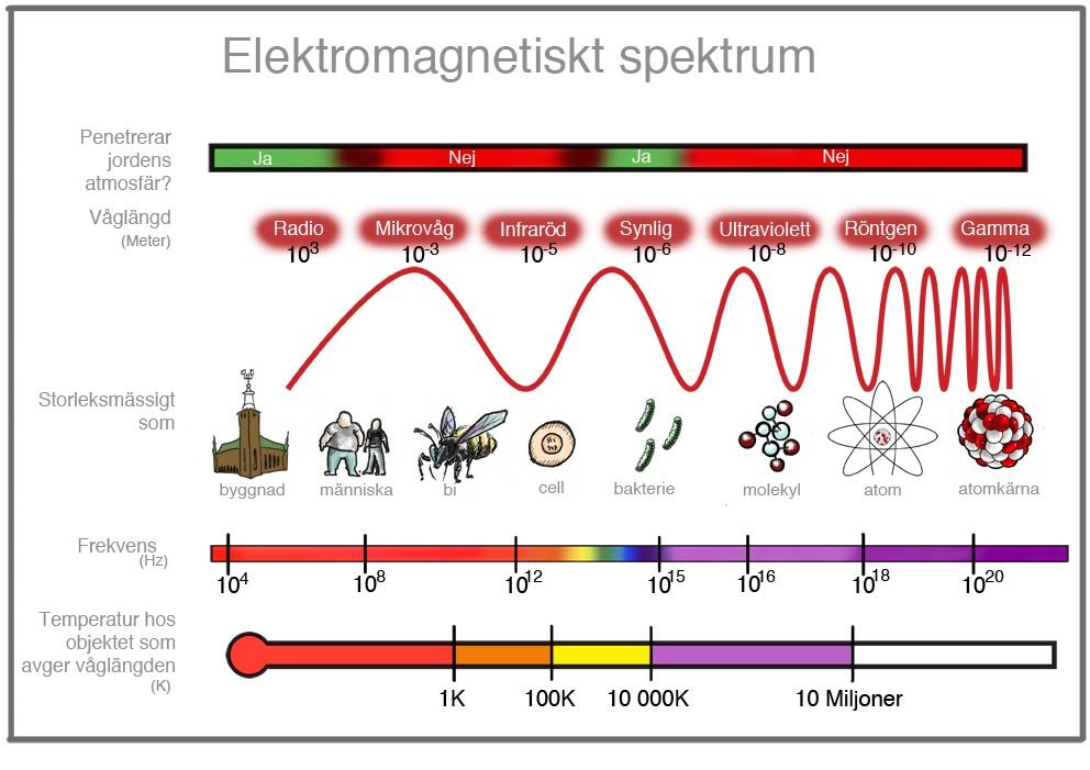 Elektromagnetisk strålning (EMS) Fotoner kan ha olika mycket energi. Ju högre energi desto kortare våglängd. Människor kan bara se synligt ljus, då detta ljus har en våglängd vi kan se.