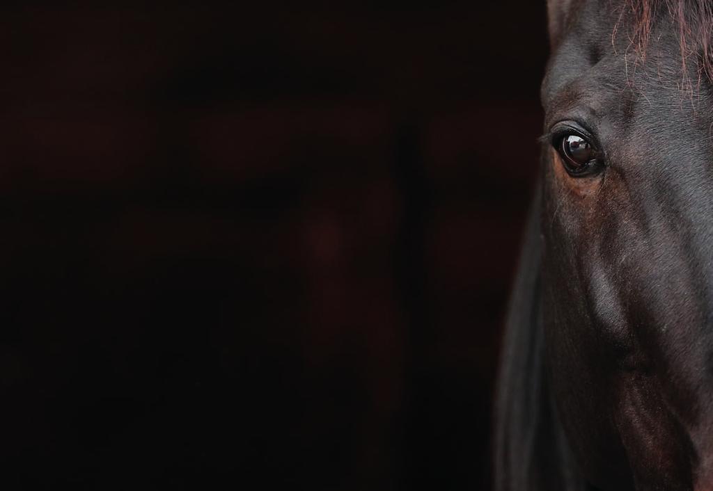 ÖVRIGA LOPP SOLVALLA TISDAG 2 JUNI Fyraåringslopp Treåringslopp SOLVALLA // 0 LOPP 1 210 M AUTO START 18.1 -åriga högst 0.000 kr. Körsvenskrav kat. 2. 210 m. Autostart.Pris: 0.000-20.000-11.000-7.00-.000-(3.