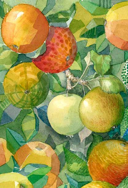 Öppet vardagar 10-17 helger 10-16 Välkommen til oss på PA Frukt under Äppelveckorna!