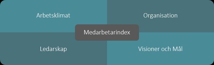 Medarbetarindex (MI) Medarbetarindex är ett mått på engagemang. Det visar bl.a. balansen mellan ledarskap och medarbetarskap, delaktighet i verksamhetsutveckling och om det finns ett arbetsklimat där