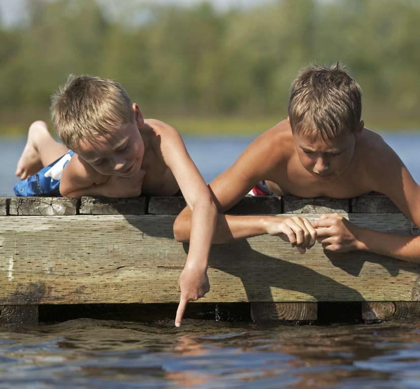 Sommarlov