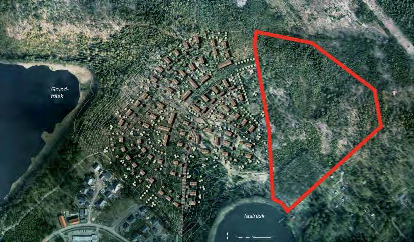 Ilmakuva v. 2009 ja Taasjärvi II:n havainnekuva. Kaava-alueen alustava rajaus esite y kuvassa punaisella. Flygbild av planområdet från år 2009 och illustra on över Tasträsk II.