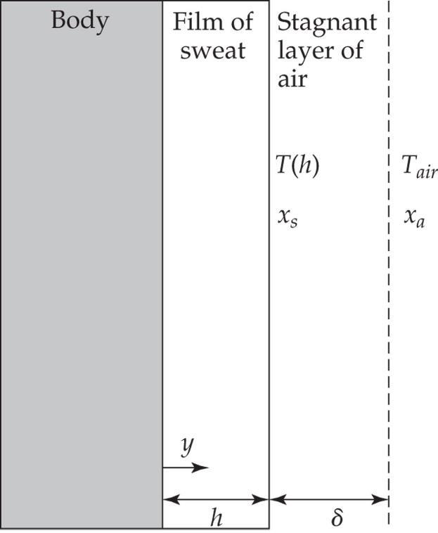 Avdunstning Om vattnets partialtryck i luften är lägre än ångtrycket kommer vätska att avdunsta.