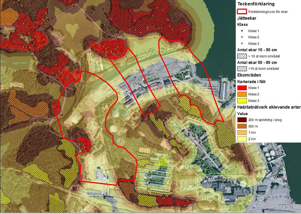 Ekarnas värde Ekarna i Nationalstadsparken hyser en lång rad rödlistade och sällsynta insektsarter.