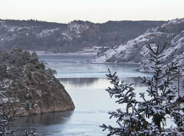 Här på öns solsida njuter du av bohuslänsk livskvalitet och ett salt- och vindpinat