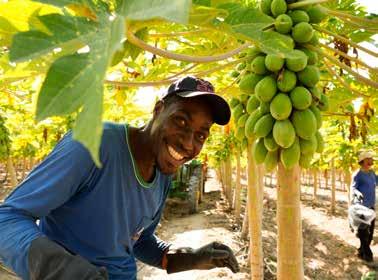 Detta återspeglas inte minst genom till exempel revideringar av minimipriser och lägstalöner, nya kampanjer och samarbeten samt ökad konsumtion av Fairtrade-märkta varor internationellt under det