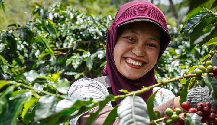 MER ÄN SIFFROR FAIRTRADE BYGGER PÅ ENGAGEMANG Hidayah, kaffeodlare, indonesien Även i Sverige ingår Fairtrade i en rörelse för rättvis handel, bestående av såväl engagerade privatpersoner som