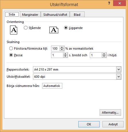 2.10 Utskriftsformat Excelfunktion för att ändra utskriftsalternativ.