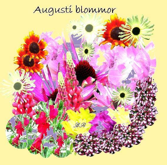 AUGUSTI 2019 Nu är augusti kommen och snart är cirklarna/ träffarna igång efter sommaruppehåll.
