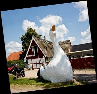 Centret har till uppgift att främja och bevara den keramiska tradition som finns i Sverige.