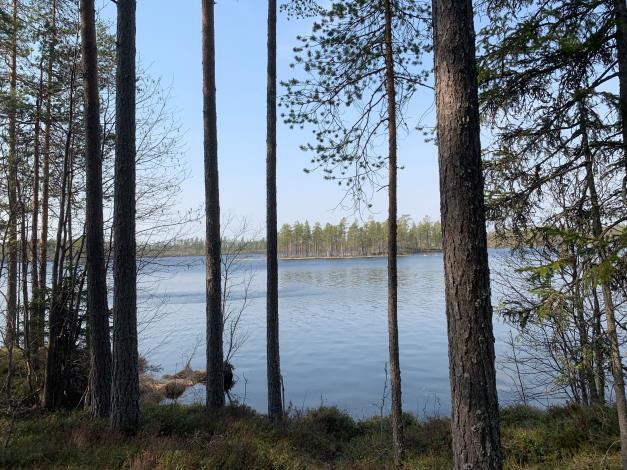 För närvarande ingen uttaxering pga. statsbidrag. Malung-Sälen Grimsåker GA:17 Andel: 490 av totalt 57 406 Förvaltning: Hånäsvägens samfällighetsförening.