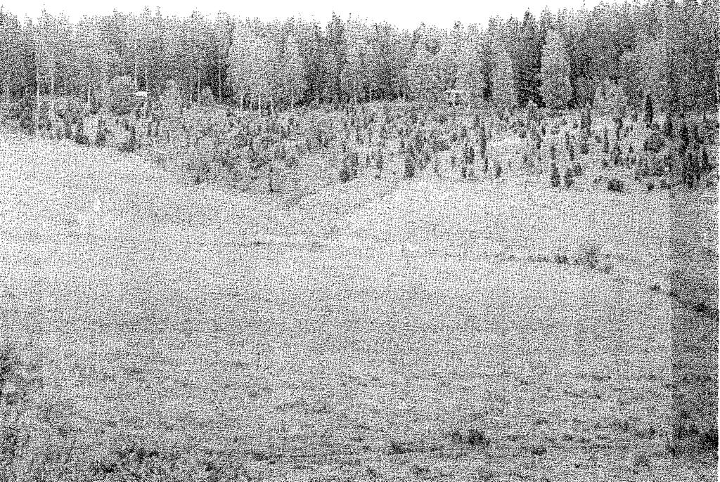 ogödslade marker i sydvästra Sverige. En övergångsform mot fårsvingeltorräng kallas för fårsvingelgräshed. I norra Dalsland finns en typ av rödvensgräshed som är mycket artrik och variationsrik.