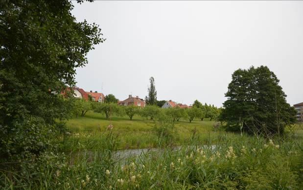 12. Svartån Svartån har ett avrinningsområde som sträcker sig över tre kommuner; Norberg, Sala och Västerås.