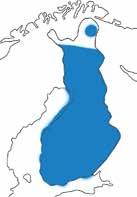 Siklöjan liknar också löjan och norsen. Siklöjan skiljer sig från löjan genom att den har en fettfena, vilket löjan inte har. Norsen i sin tur har tänder, vilket siklöjan inte har.