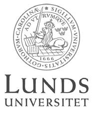 Arkeologernas tolkningar av riter i Uppåkra Författad av Johan Omark, år 2006 CD-uppsats i förhistorisk arkeologi vid Institutionen för arkeologi och