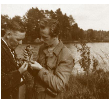 Redan den 12 juli har jag antecknat att jag och Benny Fredriksson, som också praktiserade i Hasselfors, ringmärkte tornsvalor med Mauritz.