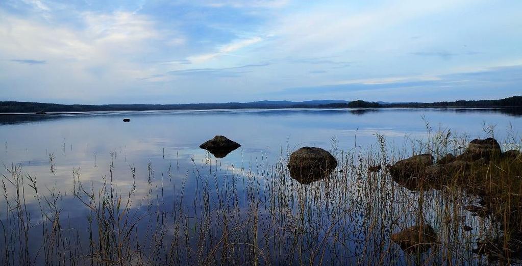 Hasselforsprofilen Sten-Ove Pettersson var en lysande personlighet och fantastisk förmedlare av kunskap om natur och kultur, både i tal och skrift.