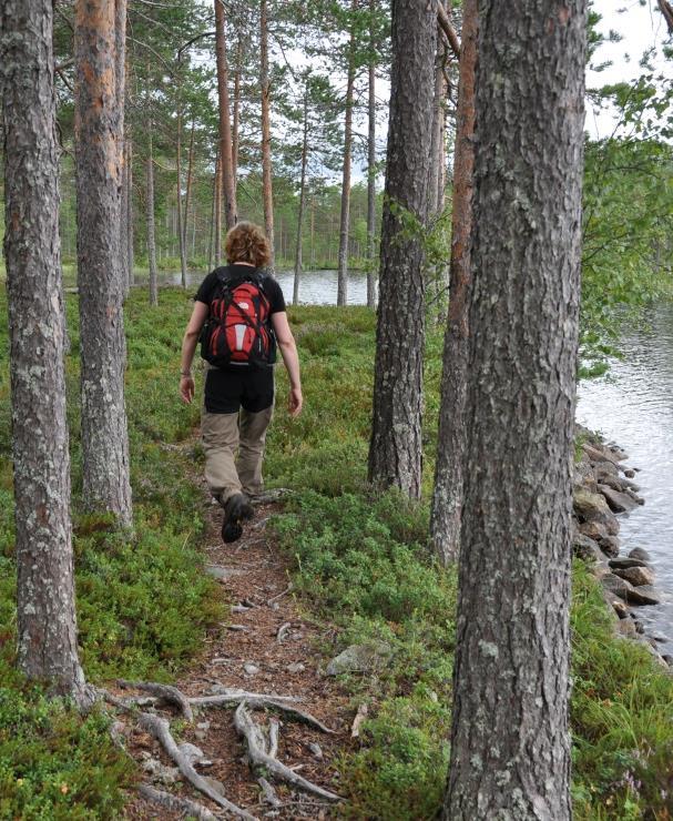 Södra