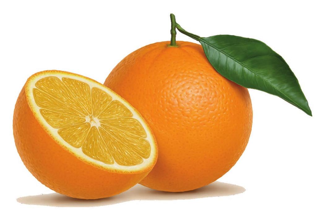 VISSTE DU ATT... Visste du att det svenska namnet apelsin kommer från medeltida nederländska och tyska appelsina/appelsine, som betyder äpple från Kina.