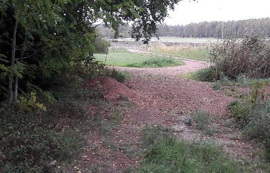 I väster gränsar planområdet till gatan Kalkhusgränd och i öster till ett vidare åkerområde.