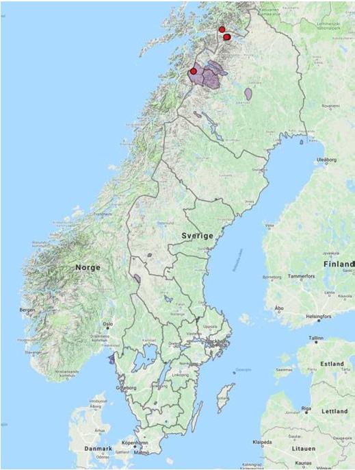 17 BIOGEOGRAFISK UPPFÖLJNING DAGFJÄRILAR 2017 NP NR N2000 NVO Figur 12.