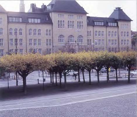 Bladen är en viktig igenkänningsfaktor Linden har använts som arkitektoniskt element i Sverige i snart fyrahundra år. De mest använda lindarna i dag uppgår till närmare tjugo arter och sorter.