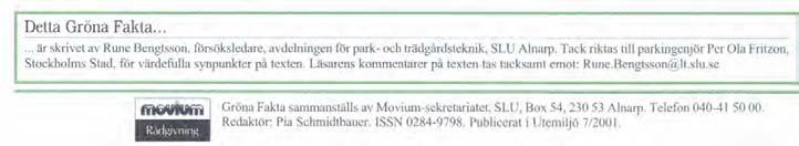 I naturen blir silverlinden 20-30 meter hög. I svensk odling 12-15 meter hög med en brett pyramidal krona uppbyggd av styvt upprätta huvudgrenar.