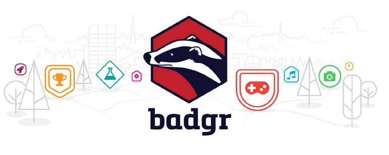 SKAPA DINA EGNA BADGES För att skapa egna Badges rekommenderar vi att du använder https://badgr.