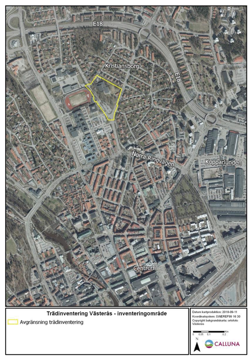 Bakgrund och uppdragets syfte Västerås stad har efterfrågat en inventering av träd i anslutning till Kristiansborgsbadet (figur 1).