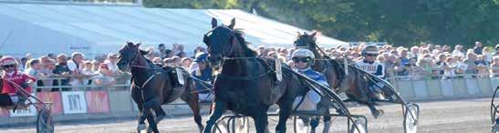 00 Lissie's Lassie e Comets Tail Per Lennartsson Å /-9 0/60 d 7ag C C 6,6 ' Uppf: Gunnar undbaum AB, Huddinge Ulf Ohlsson Bs 8/-k /0 k 7,8 gdk - Äg: Viden Zandra, Arbrå Rikard N koglund B 6/- /60 d g