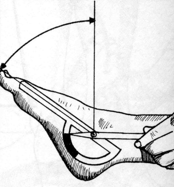Plantar-flexion B, Subtalara leden